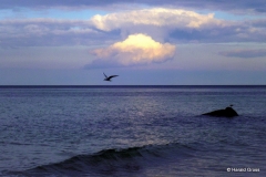 strandimpression I.